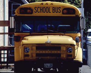 school bus cd