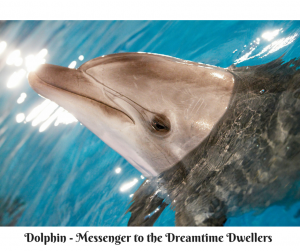 Dolphin - Messenger to the Dreamtime (1)