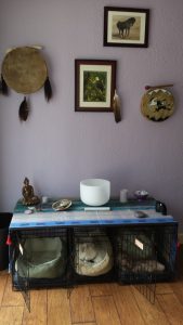 My dog kennel altar